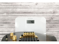 ESP M-II DX See Thru Black Sunburst ESP M-II DX See Thru Black Sunburst